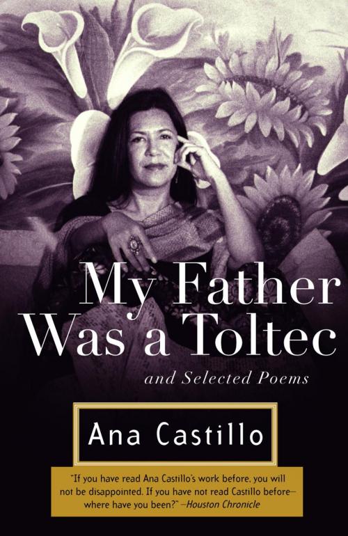 Cover of the book My Father Was a Toltec by Ana Castillo, Knopf Doubleday Publishing Group