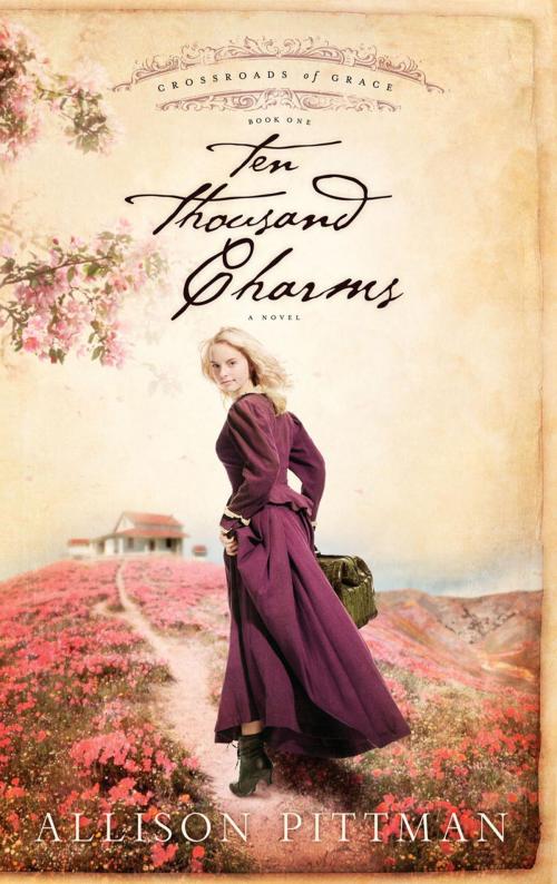 Cover of the book Ten Thousand Charms by Allison K. Pittman, The Crown Publishing Group