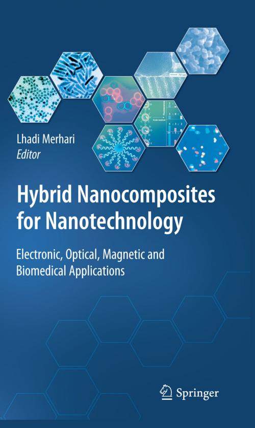 Cover of the book Hybrid Nanocomposites for Nanotechnology by , Springer US