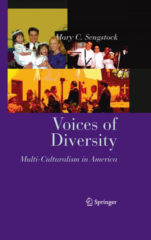 Cover of the book Voices of Diversity by Mary C. Sengstock, Arifa Javed, Sonya Berkeley, Brenda Marshall, Springer New York