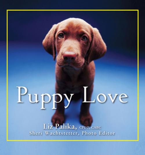 Cover of the book Puppy Love by Liz Palika, Turner Publishing Company