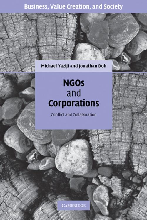Cover of the book NGOs and Corporations by Michael Yaziji, Jonathan Doh, Cambridge University Press