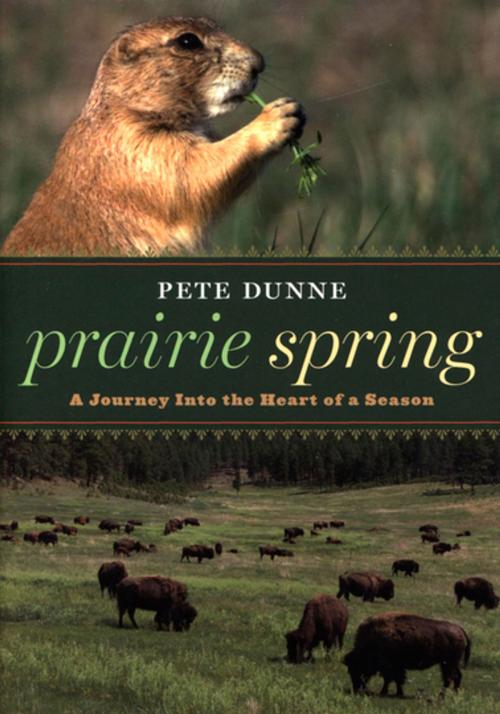 Cover of the book Prairie Spring by Pete Dunne, Houghton Mifflin Harcourt