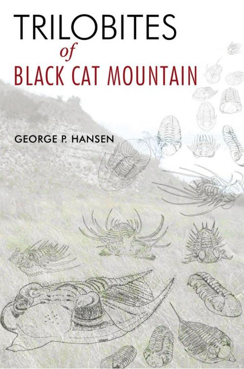 Cover of the book Trilobites of Black Cat Mountain by George P. Hansen, iUniverse
