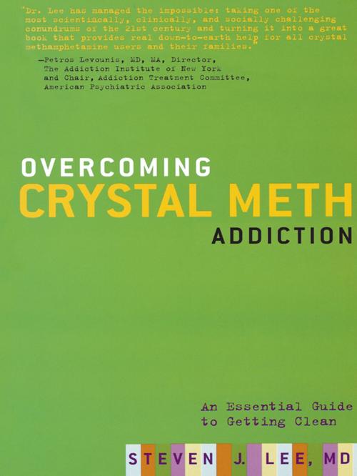 Cover of the book Overcoming Crystal Meth Addiction by Steven J. Lee, Hachette Books