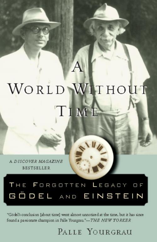 Cover of the book A World Without Time by Palle Yourgrau, Basic Books