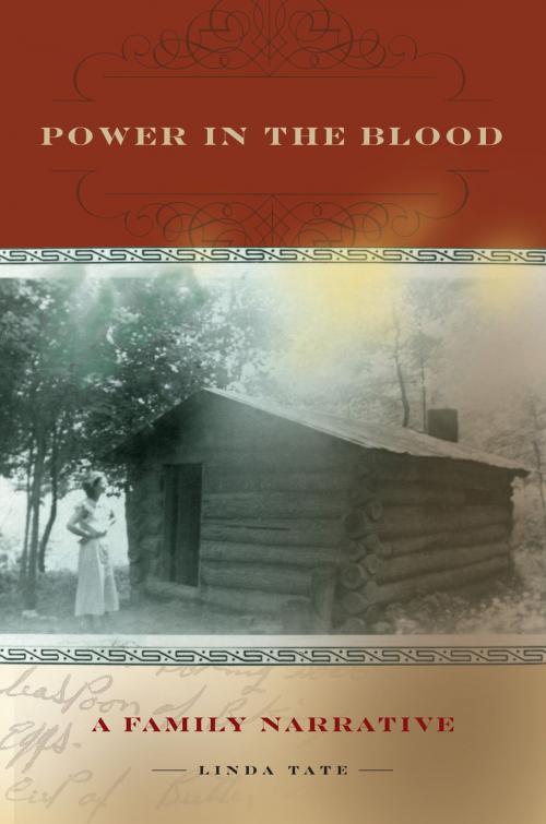 Cover of the book Power in the Blood by Linda Tate, Ohio University Press