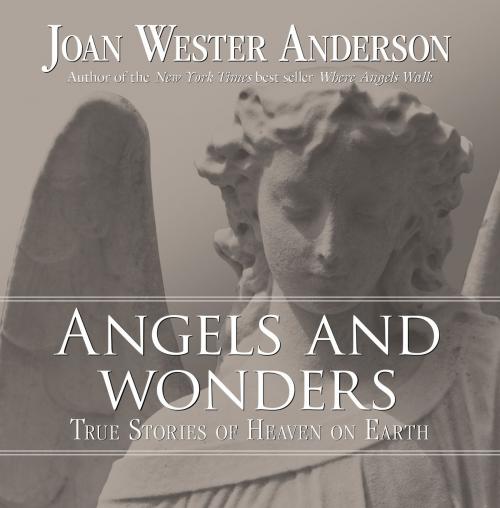 Cover of the book Angels and Wonders by Joan Wester Anderson, Loyola Press