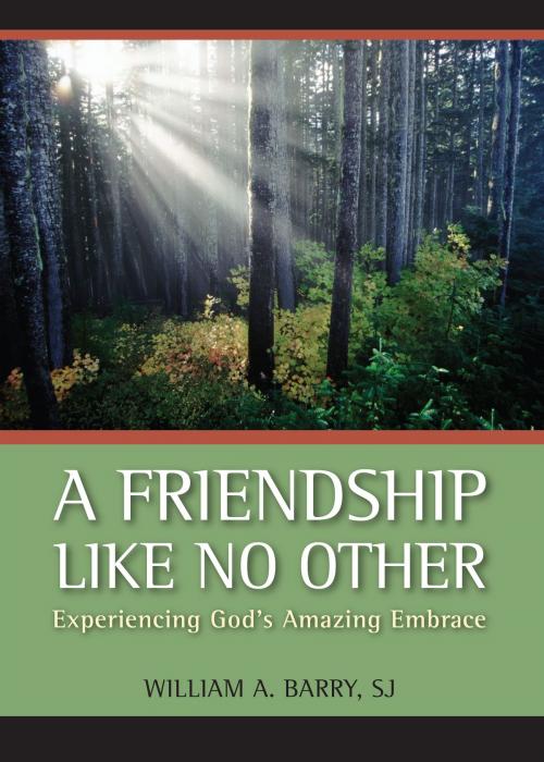 Cover of the book A Friendship Like No Other by William A. Barry, SJ, Loyola Press