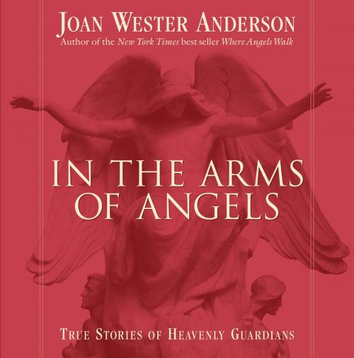Cover of the book In The Arms Of Angels by Joan Wester Anderson, Loyola Press