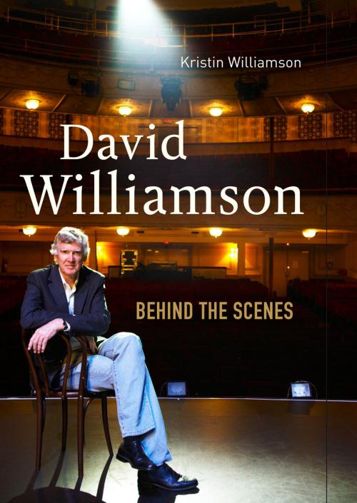 Cover of the book David Williamson by Kristin Williamson, Penguin Books Ltd