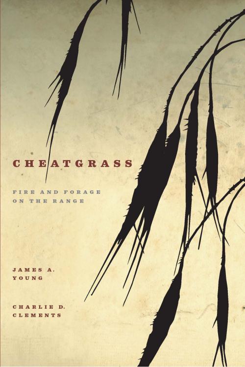 Cover of the book Cheatgrass by James A. Young, Charlie D. Clements, University of Nevada Press
