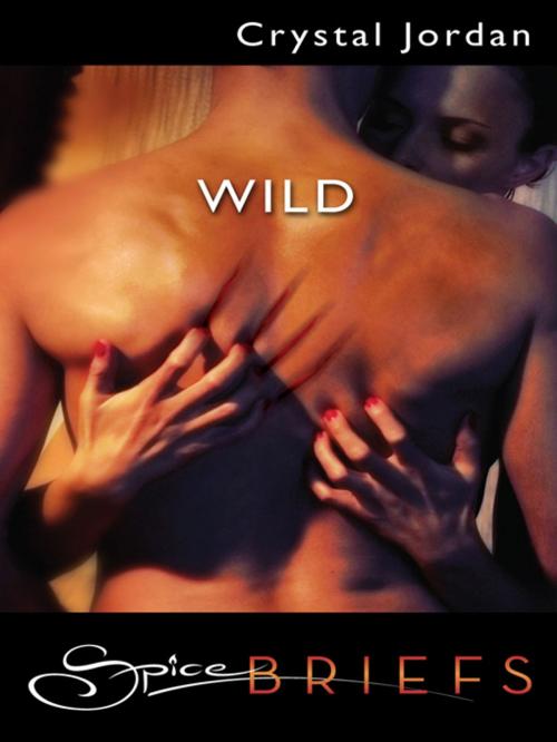 Cover of the book Wild by Crystal Jordan, Spice