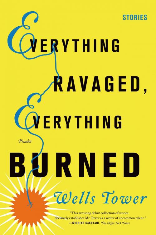 Cover of the book Everything Ravaged, Everything Burned by Wells Tower, Farrar, Straus and Giroux