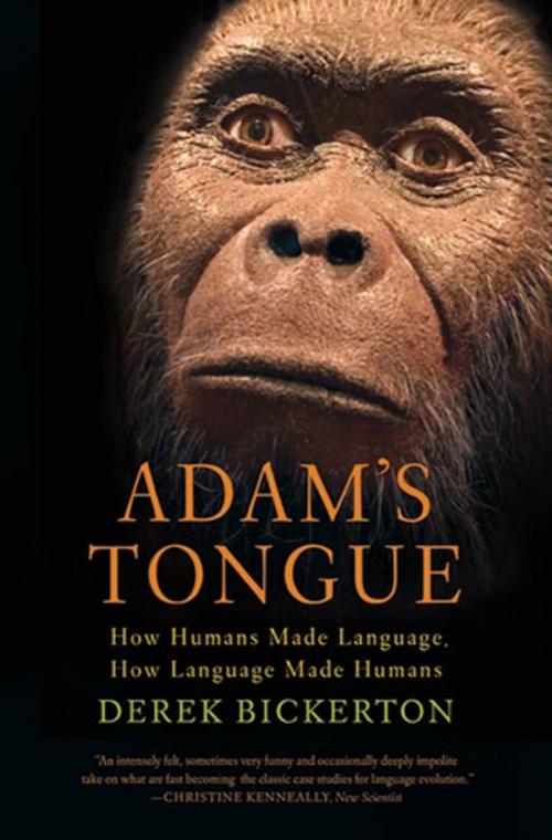 Cover of the book Adam's Tongue by Derek Bickerton, Farrar, Straus and Giroux