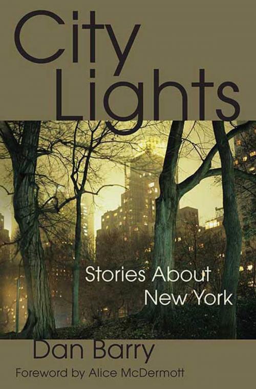 Cover of the book City Lights by Dan Barry, St. Martin's Press