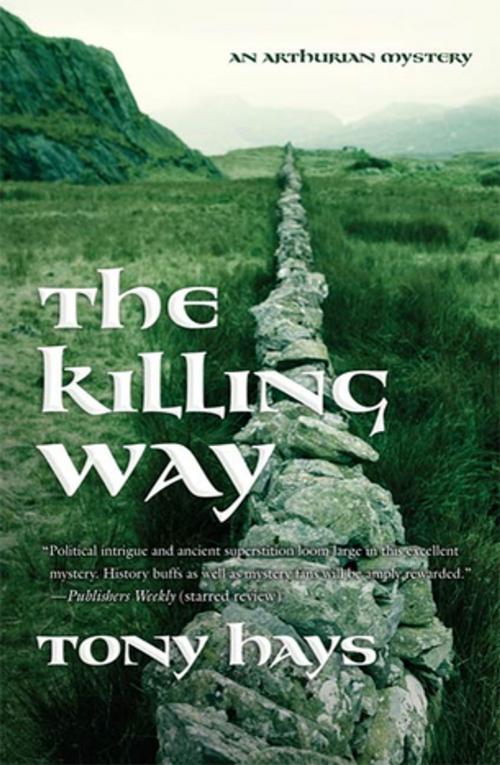 Cover of the book The Killing Way by Tony Hays, Tom Doherty Associates