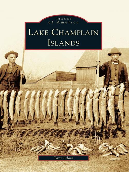 Cover of the book Lake Champlain Islands by Tara Liloia, Arcadia Publishing Inc.