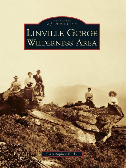 Cover of the book Linville Gorge Wilderness Area by Christopher Blake, Arcadia Publishing Inc.