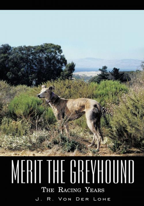 Cover of the book Merit the Greyhound by J. R. Von Der Lohe, iUniverse