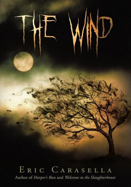Cover of the book The Wind by Eric Carasella, iUniverse