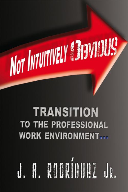Cover of the book Not Intuitively Obvious by J.A. Rodriguez Jr., Xlibris US