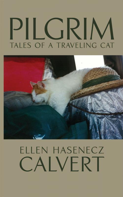 Cover of the book Pilgrim by Ellen Hasenecz Calvert, AuthorHouse