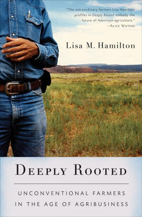 Cover of the book Deeply Rooted by Lisa M. Hamilton, Counterpoint Press