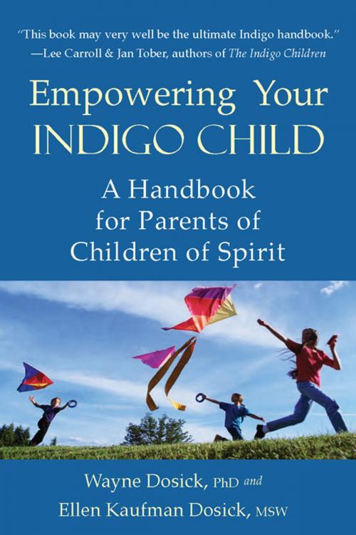 Cover of the book Empowering Your Indigo Child by Ellen Dosick Kaufman MSW, Wayne D. Dosick Ph.D., Red Wheel Weiser