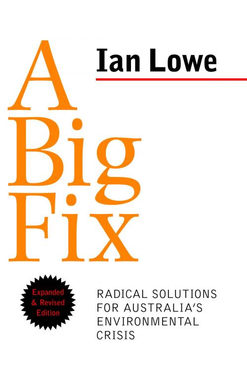 Cover of the book A Big Fix by Ian Lowe, Schwartz Publishing Pty. Ltd