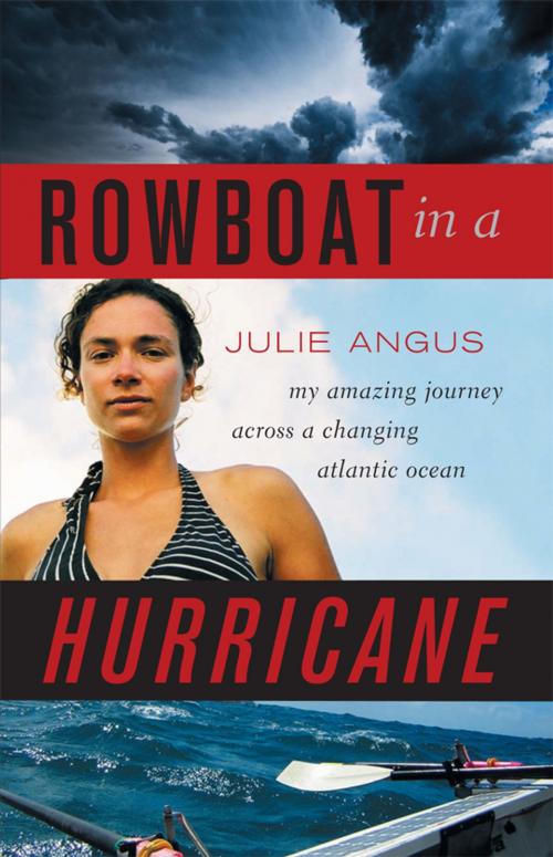 Cover of the book Rowboat in a Hurricane by Julie Angus, Greystone Books Ltd.