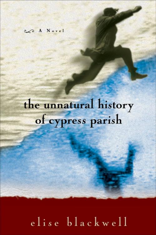 Cover of the book The Unnatural History of Cypress Parish by Elise Blackwell, Unbridled Books