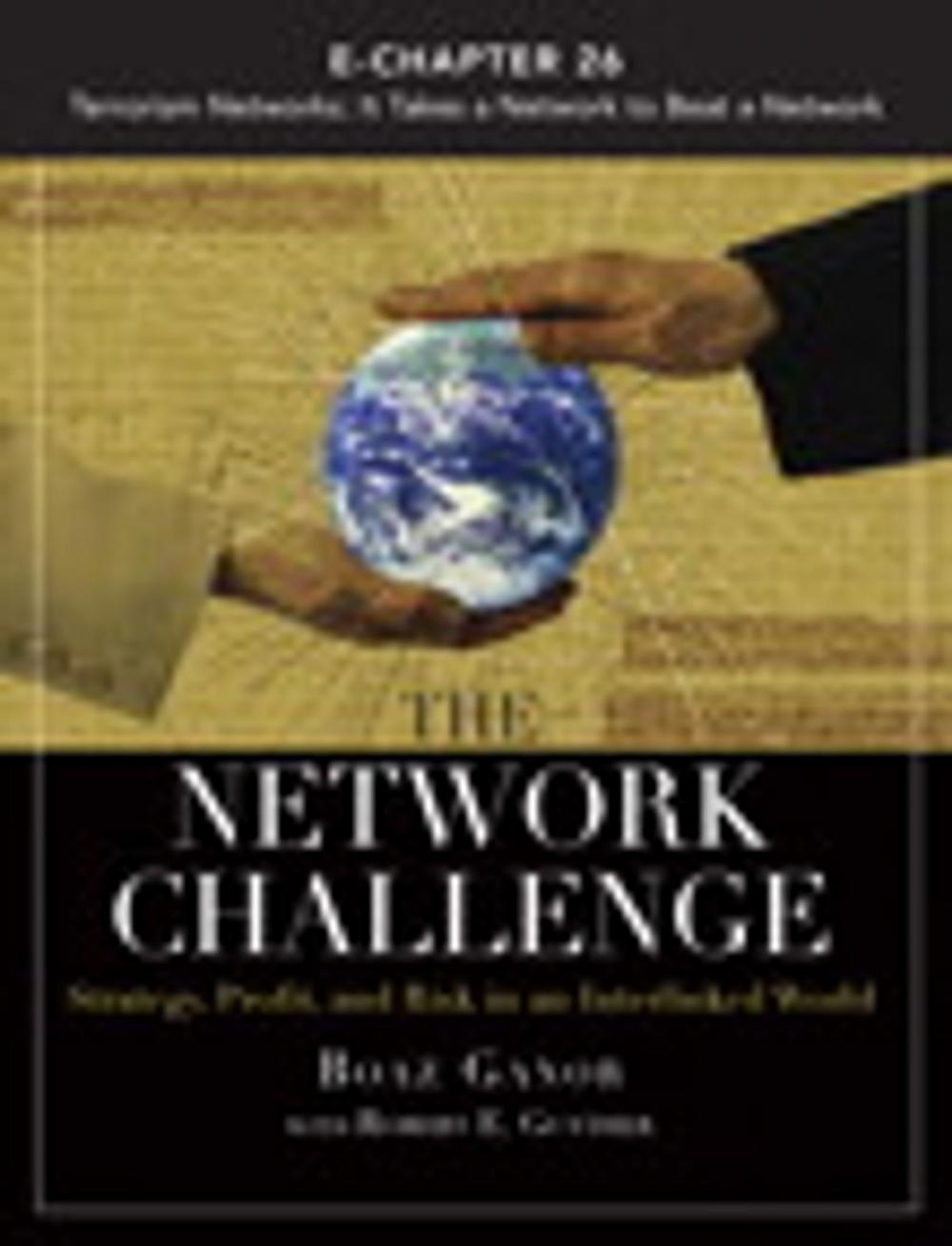Big bigCover of The Network Challenge (Chapter 26)
