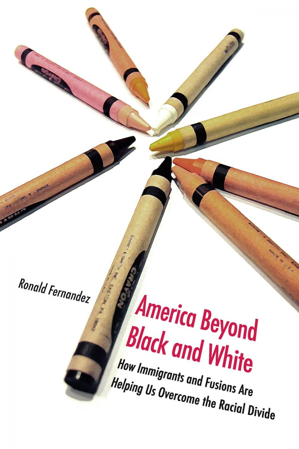 Big bigCover of America Beyond Black and White