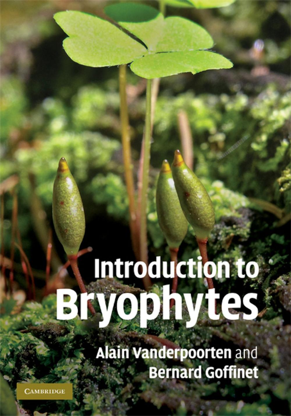 Big bigCover of Introduction to Bryophytes