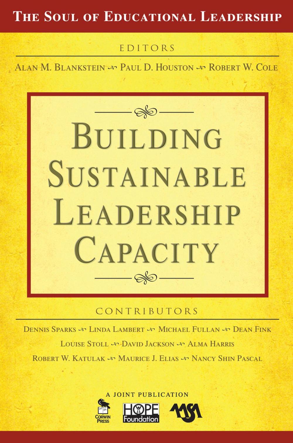 Big bigCover of Building Sustainable Leadership Capacity