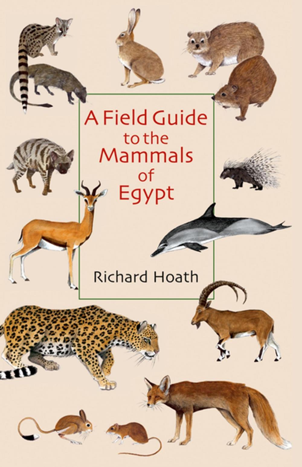 Big bigCover of A Field Guide to the Mammals of Egypt