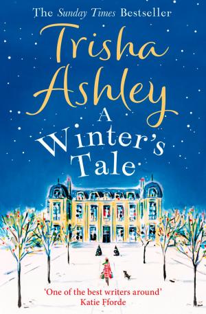 Cover of the book A Winter’s Tale by Professor Brian Cox, Andrew Cohen
