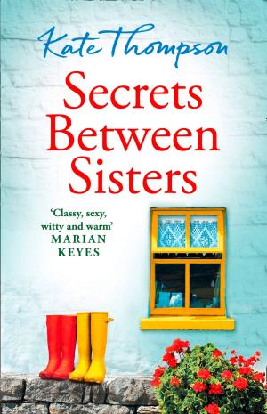 Cover of the book Secrets Between Sisters by S. A. McCormick