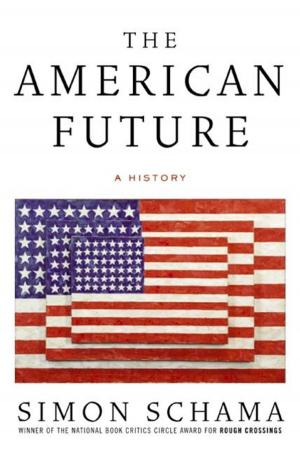 Book cover of The American Future