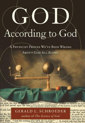 Cover of the book God According to God by Fernando Morais