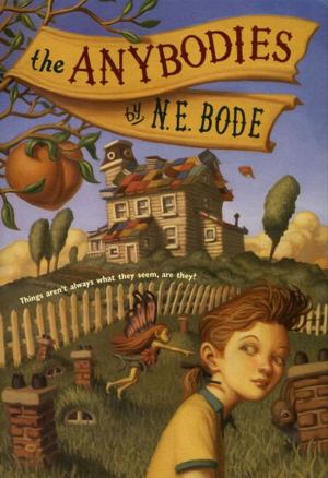 Cover of the book The Anybodies by Jeff Brown
