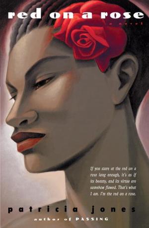 Cover of the book Red on a Rose by Lisa Landolt
