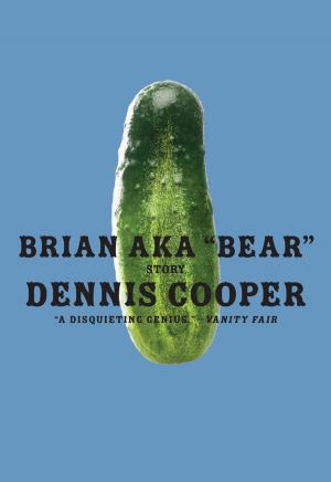 Cover of the book Brian aka "Bear" by Scott Spencer