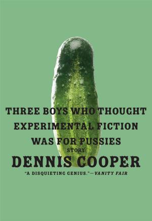 Book cover of Three Boys Who Thought Experimental Fiction Was For Pussies