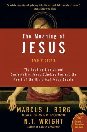 Cover of the book The Meaning of Jesus by Lorin Roche