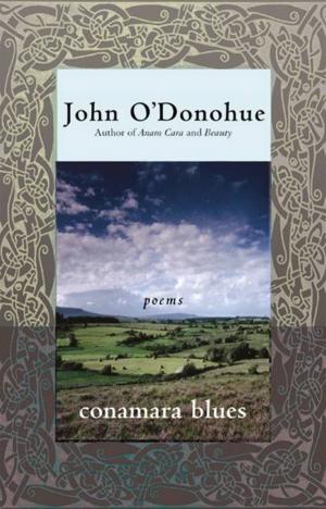 Cover of the book Conamara Blues by Steve Cohen