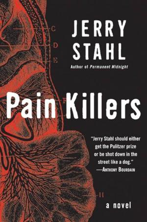 Cover of the book Pain Killers by Kristina Circelli