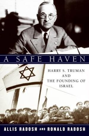Cover of the book A Safe Haven by J. R. Dunn