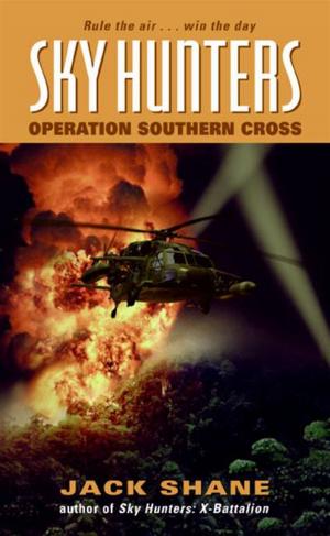 Cover of the book Sky Hunters: Operation Southern Cross by Denene Millner, Nick Chiles